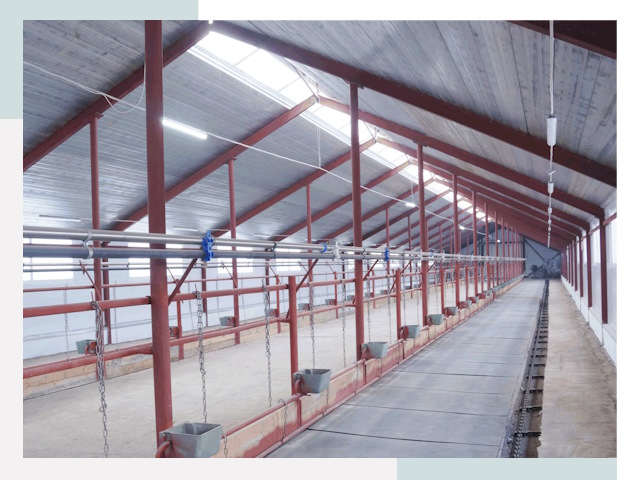 Строительство коровников в Боре от 623 руб.