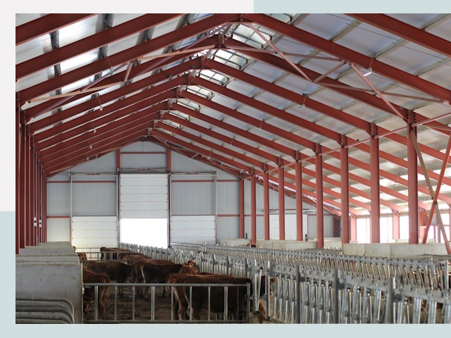 Строительство коровников в Боре