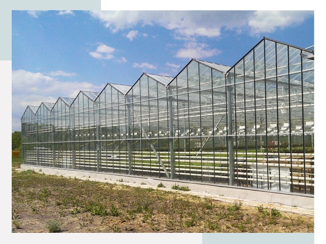 Строительство теплиц в Бор от 623 руб. за м²