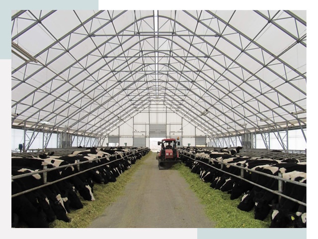 Тентовые коровники в Боре от 623 руб. - Надежно и доступно